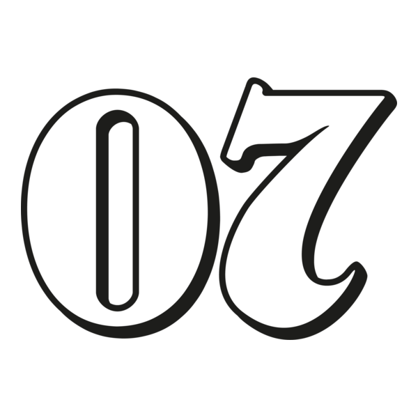 07 Richard Childress Racing logo