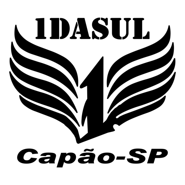 1º da sul logo