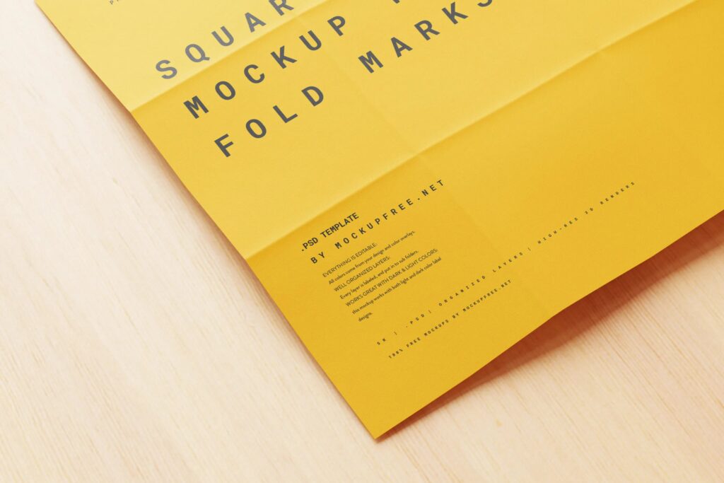 10 Paper Mockup with Fold Marks in Distinct Views