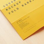 10 Paper Mockup with Fold Marks in Distinct Views