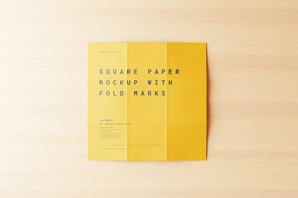 10 Paper Mockup with Fold Marks in Distinct Views