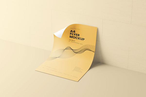 10 Shots of the Flyer Mockup Folded A4 and A5