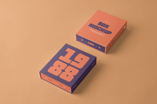 2 Boxes Mockup in Perspective View