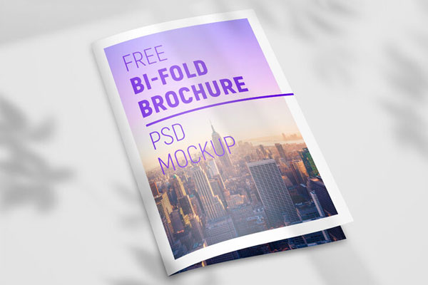 2 Mockups of Bi-Fold Brochures Laid in Perspective