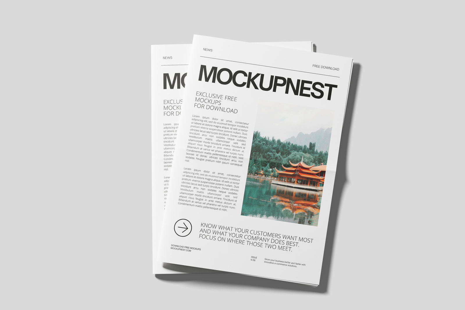 Free 2 Newspaper Mockups in Top Vision PSD Template