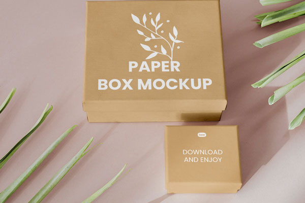 2 Paper Gift Boxes Mockup in Perspective Sight