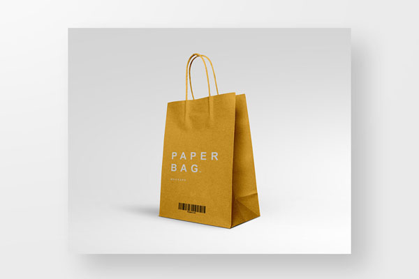 2 Paper Shopping Bag Mockups in Front and 3/4 Views