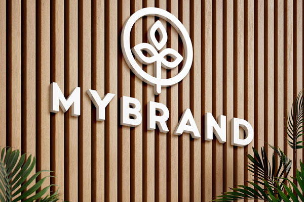 2 Shots of Logo Mockup on Wooden Panels
