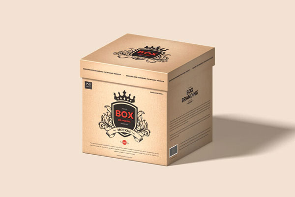 3/4 View of a Square Box Branding Packaging Mockup