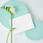 3 Card Mockups with Circle Boxes in Perspective and Front Views