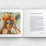 3 Catalogue Mockups Open and Closed in Different Settings mockup preview
