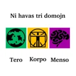 3 domoj casas Logo