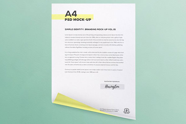 3 Mockups of a Curled A4 Paper in Different Views
