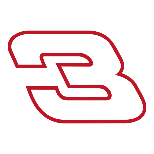 3 Richard Childress Racing logo