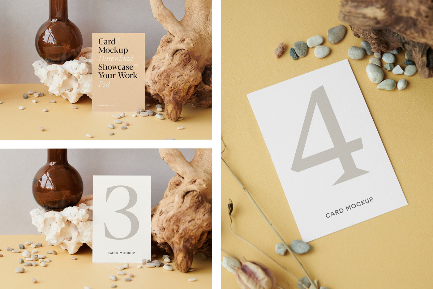 3 Showcase of Card Mockup with Root FREE PSD