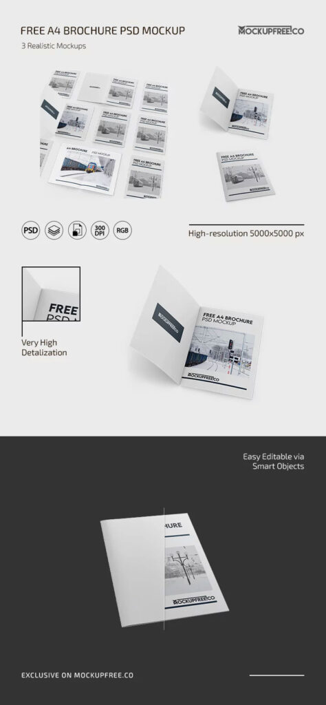 3 Showcases of A4 Brochure Mockup