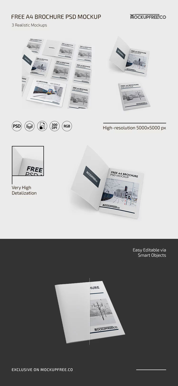 Free 3 Showcases of A4 Brochure Mockup PSD Template