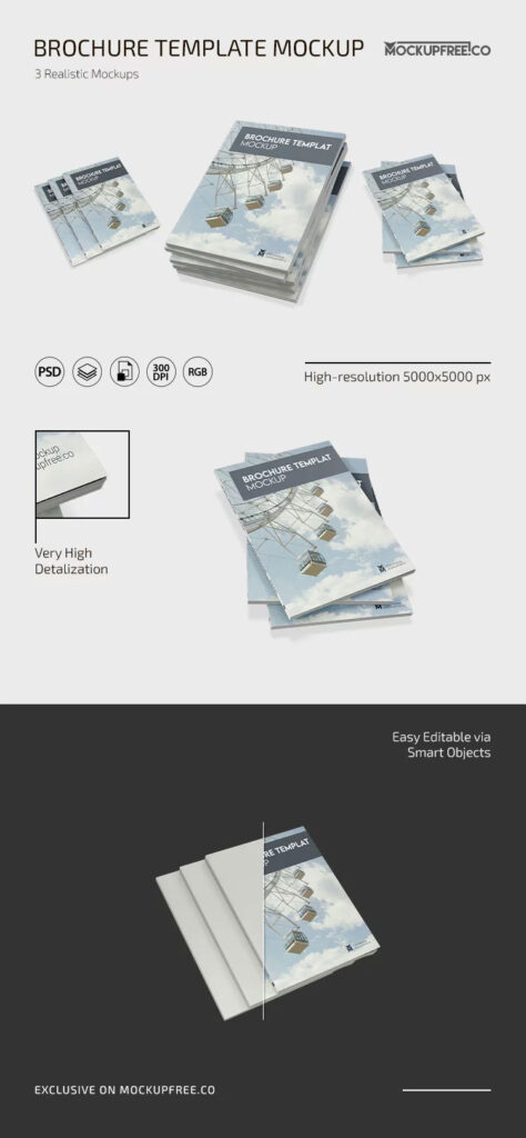 3 Showcases of Brochure Mockup