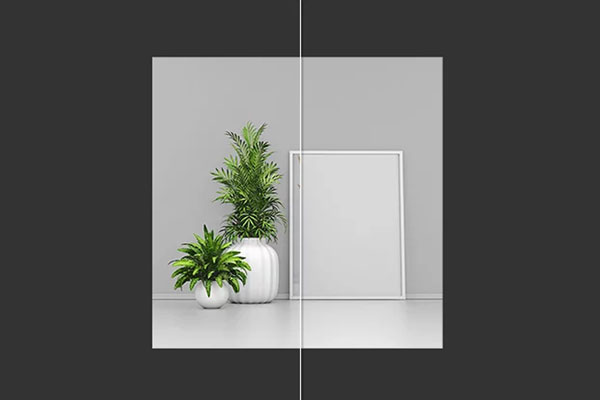 3 Showcases of Poster Mockup with Plants
