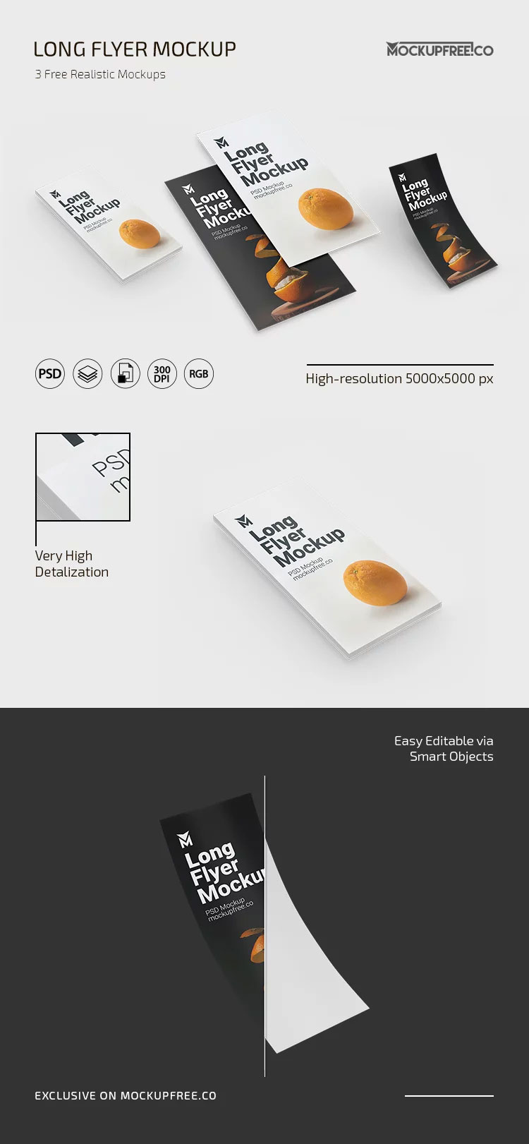 Free 3 Sights of Long Flyer Mockup PSD Template