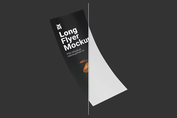 3 Sights of Long Flyer Mockup