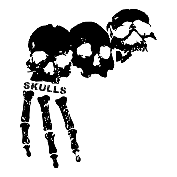 3 skulls logo