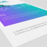 3 Views of DL Flyer Mockup
