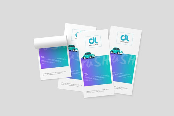 3 Views of DL Flyer Mockup