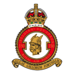 350 SQUADRON logo