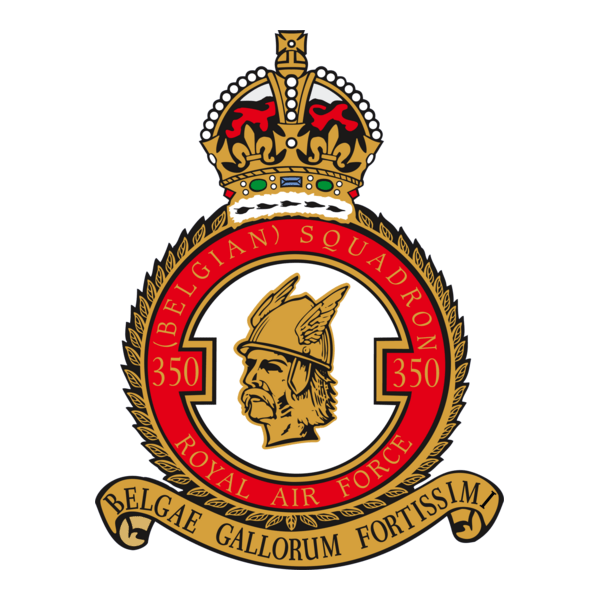 350 SQUADRON logo