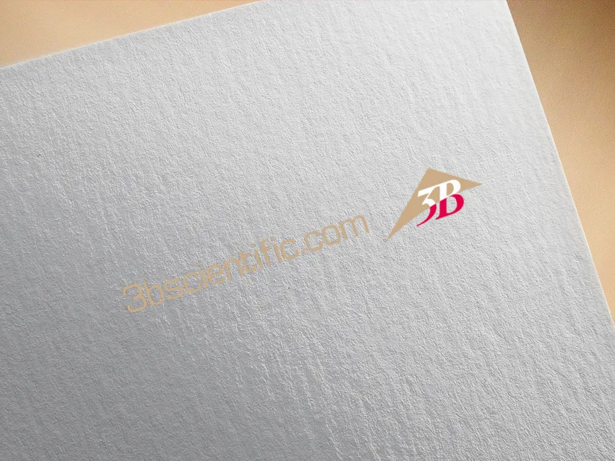 3B Scientific Gold Logo