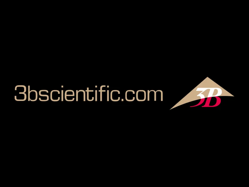 3B Scientific Gold Logo