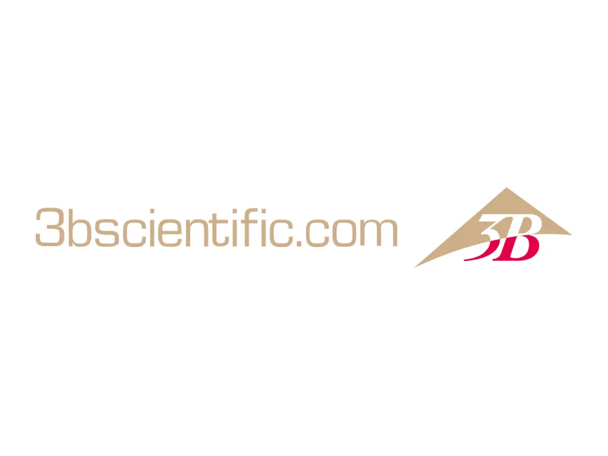 3B Scientific Gold Logo