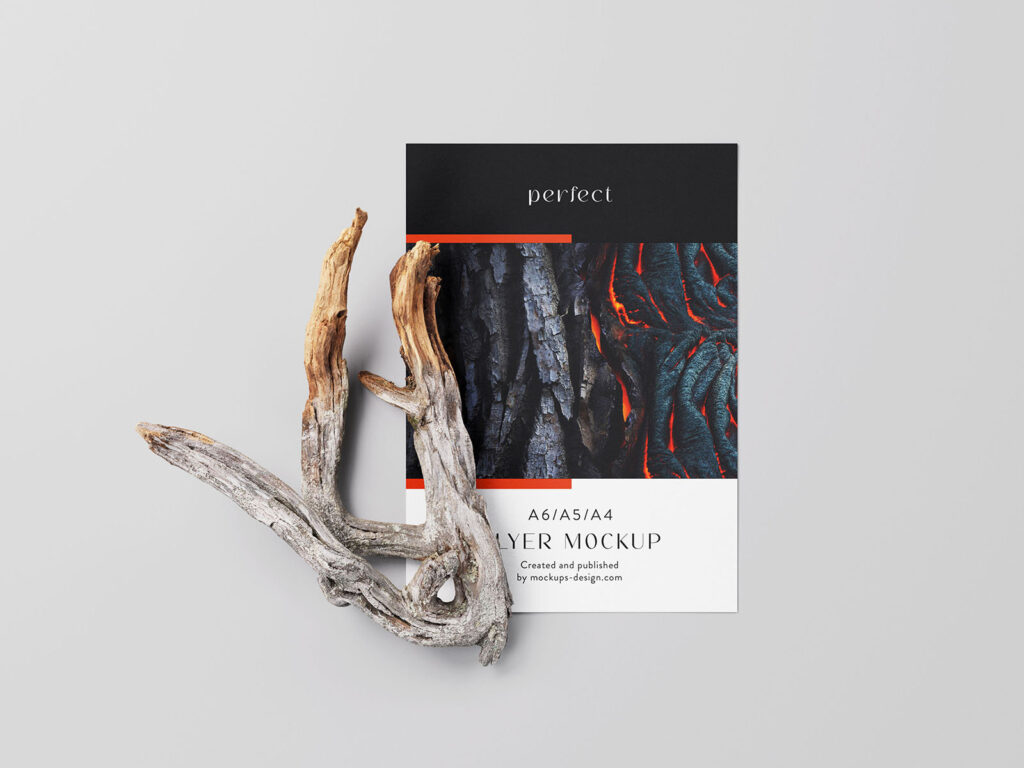 4 A4 Flyer Mockups With Dry Branch in Varied Views mockup preview