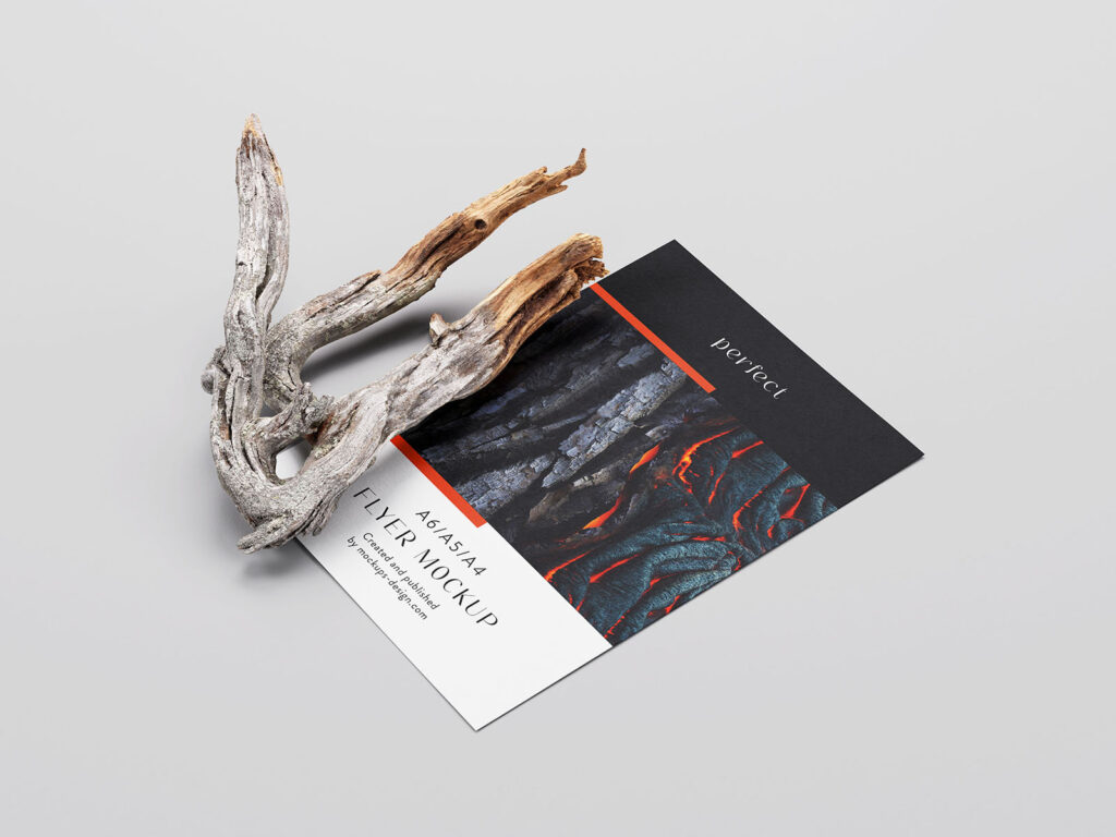 4 A4 Flyer Mockups With Dry Branch in Varied Views mockup preview
