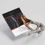 4 A4 Flyer Mockups With Dry Branch in Varied Views mockup preview