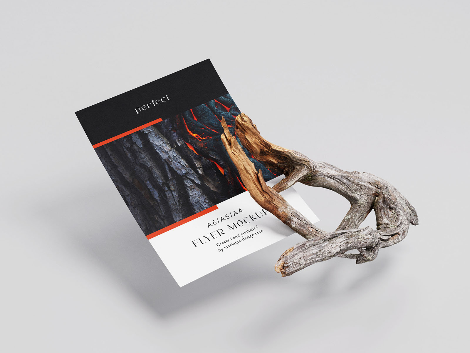 4 A4 Flyer Mockups With Dry Branch in Varied Views FREE PSD