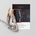 4 A4 Flyer Mockups With Dry Branch in Varied Views mockup preview