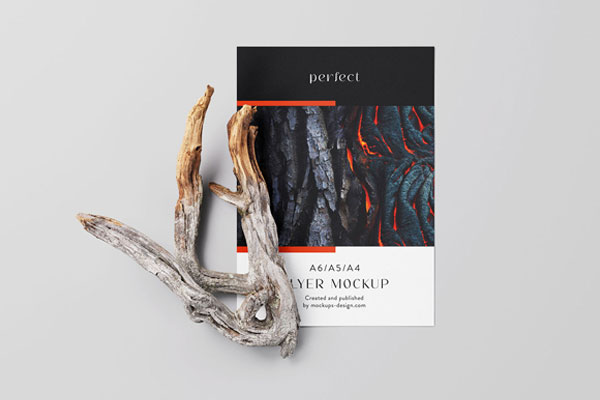 4 A4 Flyer Mockups With Dry Branch in Varied Views