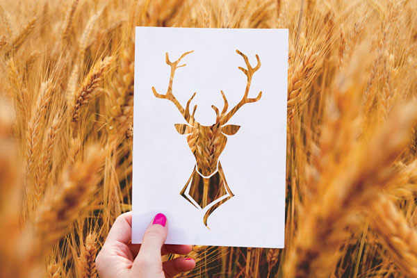4 Mockups of Paper Stencil Cutout in Realistic Setting