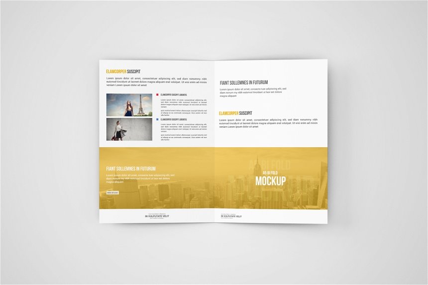 4 Shots of A5 Bi Fold Brochure Mockups