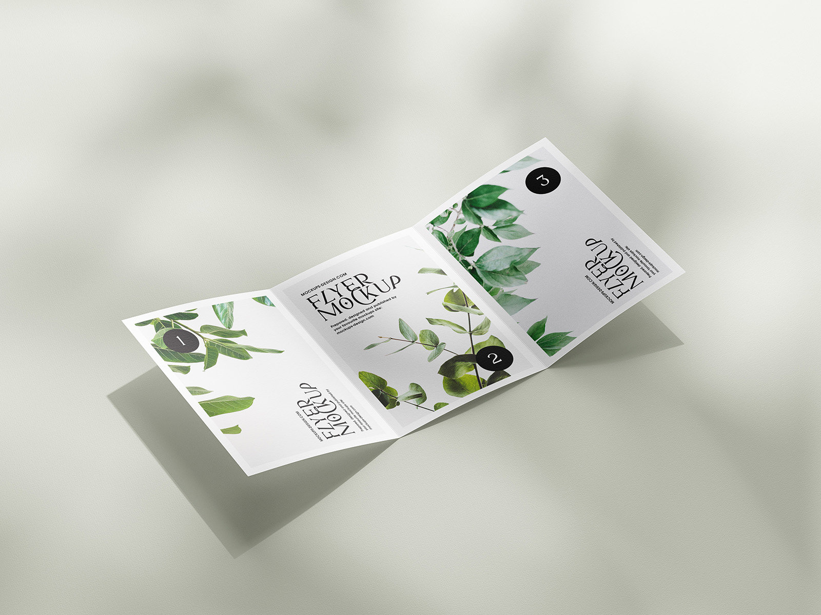5 Mockups of A5, A6, A4 Trifold Flyers in Various Views FREE PSD