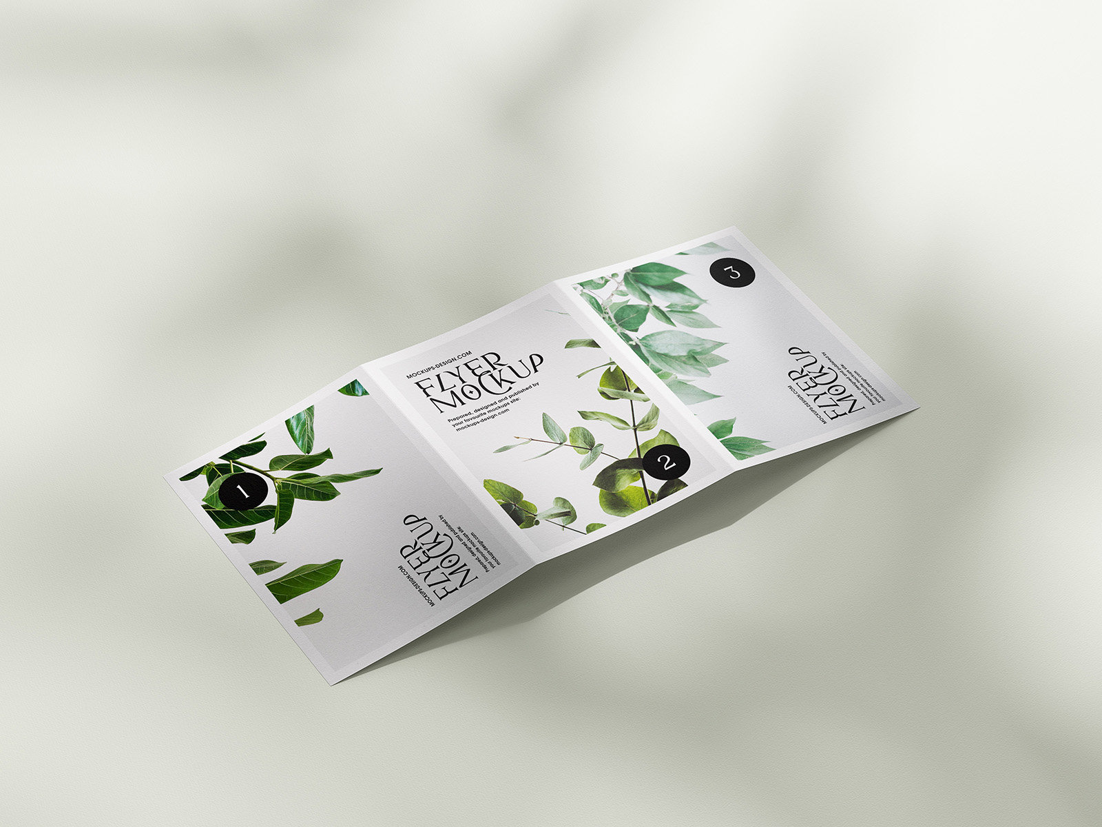 5 Mockups of A5, A6, A4 Trifold Flyers in Various Views FREE PSD