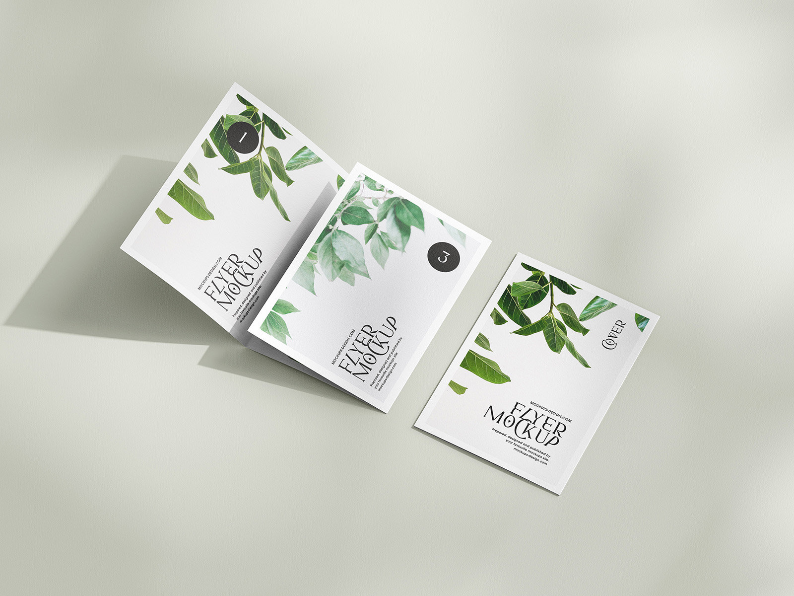 5 Mockups of A5, A6, A4 Trifold Flyers in Various Views FREE PSD