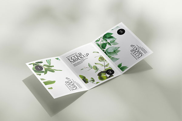 5 Mockups of A5, A6, A4 Trifold Flyers in Various Views