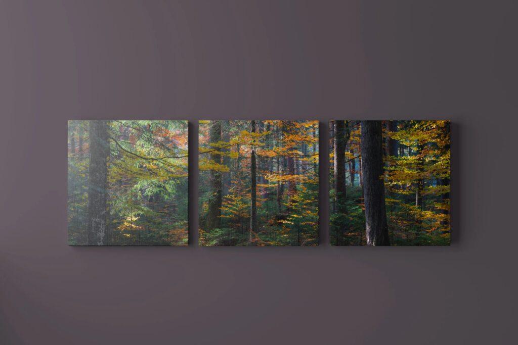 5 Three Piece Canvas Mockups in Front Sight