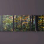 5 Three Piece Canvas Mockups in Front Sight