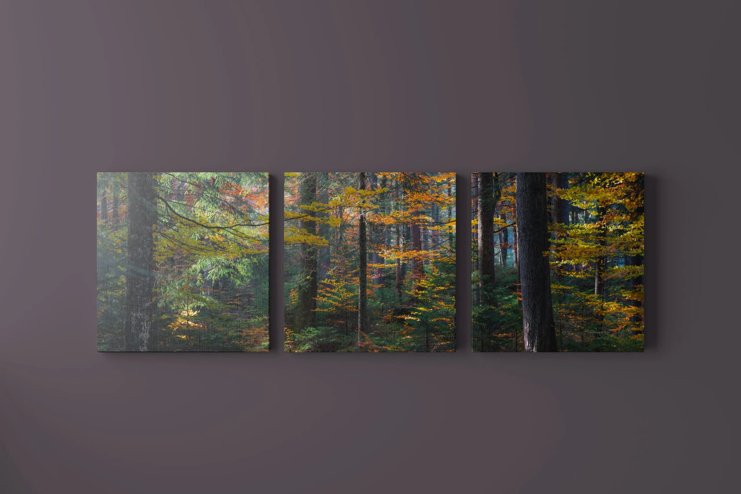5 Three Piece Canvas Mockups in Front Sight FREE PSD