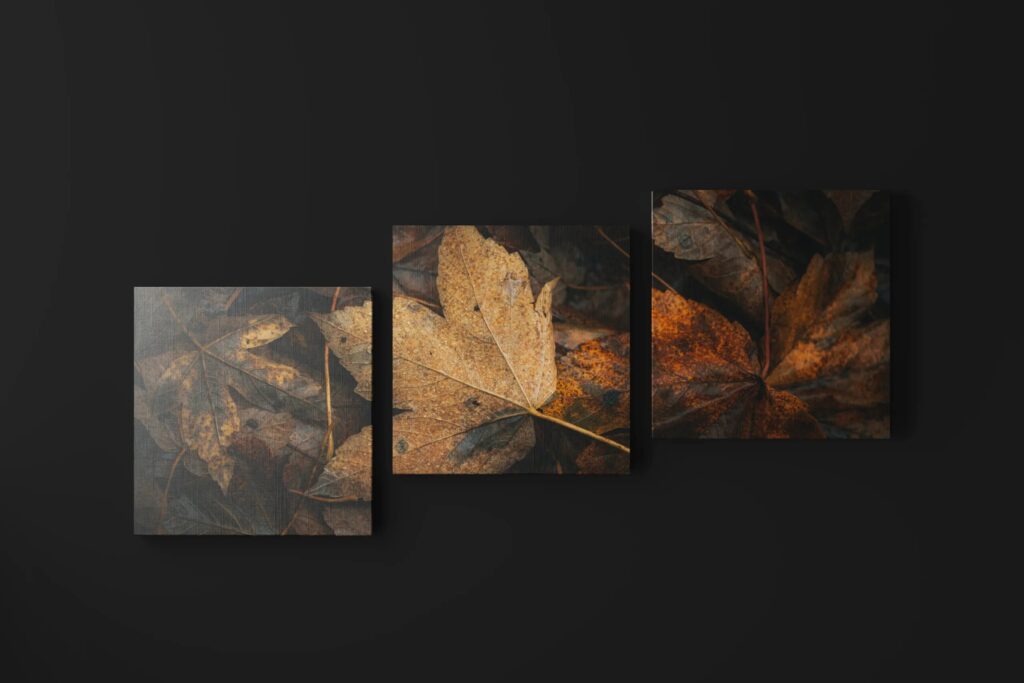 5 Three Piece Canvas Mockups in Front Sight