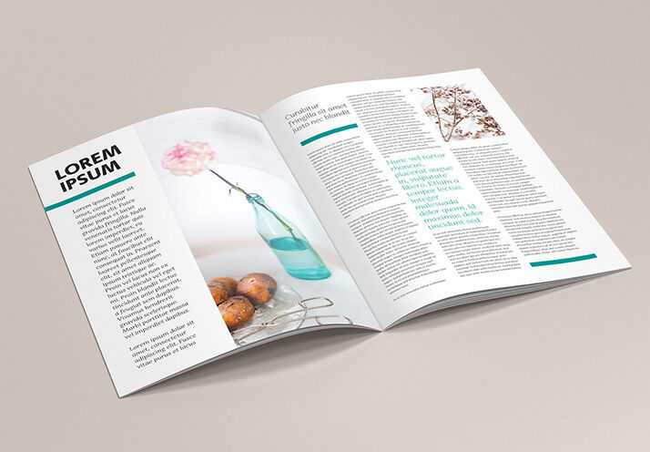 6 Mockups of A4 Brochures in Different Views